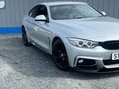 BMW 4 Series 2.0 420d M Sport Auto Euro 6 (s/s) 2dr 21