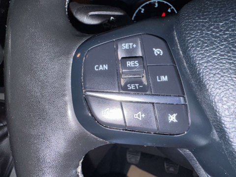 Ford Transit Custom 2.0 Transit Custom 300 Limited EcoBlue 5dr 22