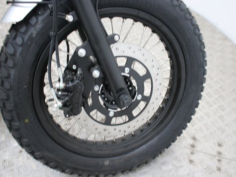 Mutt Mastiff 125 Pre-registered 15
