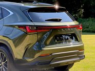 Lexus NX 350H 17