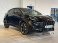 Ford Puma 1.0T EcoBoost MHEV ST-Line X Euro 6 (s/s) 5dr 1