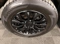 Ford Ranger 2.0 EcoBlue Wildtrak Auto 4WD Euro 6 (s/s) 4dr 44