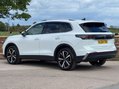 Volkswagen Tiguan 2.0 TDI Elegance DSG Euro 6 (s/s) 5dr 3