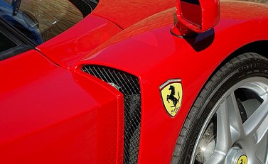 Ferrari Enzo 14