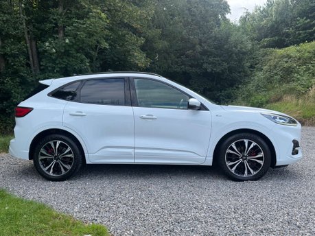 Ford Kuga 2.0 Kuga ST-Line X EcoBlue MHEV 5dr