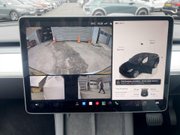 Tesla Model Y (Dual Motor) Long Range SUV 5dr Electric Auto 4WDE (384 bhp) Pan Roof - Sat 16