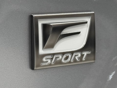 Lexus RX 450H F SPORT TAKUMI PANORAMIC ROOf 25