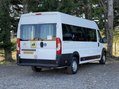 Citroen Relay 40 L4H2 17 SEAT LIGHTWEIGHT NON-D1 MINIBUS with RAMP, SENSORS. Euro 6 15