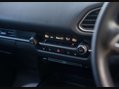 Mazda CX-30 2.0 CX-30 SE-L Luxury MHEV 5dr 29