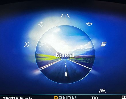 Ford Kuga 1.5 Kuga ST-Line X Edition EcoBlue Auto 5dr 23