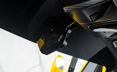 McLaren Senna GTR LM 29