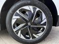 MG MG4 64kWh Trophy Long Range Hatchback 5dr Electric Auto (203 ps) 16
