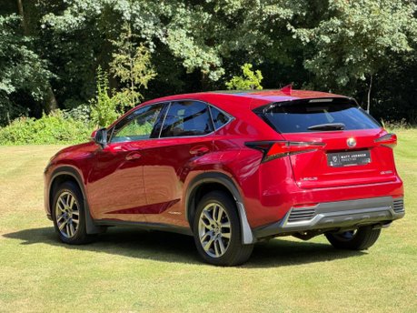 Lexus NX 300H LUXURY 6
