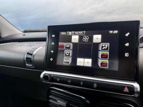 Citroen C4 Cactus BLUEHDI FLAIR 12