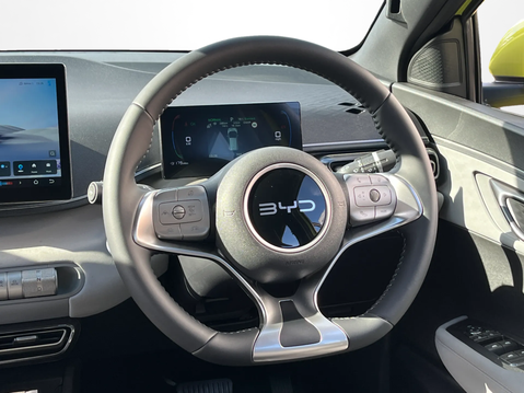 BYD Dolphin Surf 65kW Boost 43kWh 5dr Auto 17