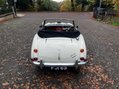 Austin Healey 3000 3