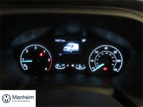 Ford Transit 2.0 290 EcoBlue Trend Panel Van 5dr Diesel Manual FWD L2 H2 Euro 6 (s/s) (1 3