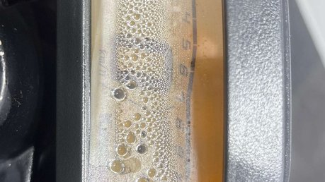 Kawasaki Z 2019 BR GOOD RUNNING LIGHT PROJECT BIKE 15BHP 125CC LEARNER BIKE 18