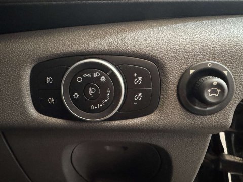 Ford Transit 2.0 Transit 350 Trend EcoBlue 12