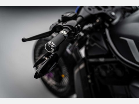 Harley-Davidson V-Rod 1247 VRSCF Muscle 14