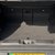 Suzuki e Vitara 135kW Ultra ALLGRIP-e 61kWh 5dr Auto 39