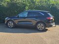 Ford Kuga TITANIUM EDITION ECOBLUE 4