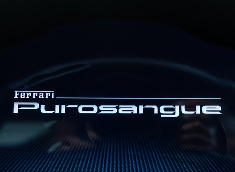 Ferrari Purosangue 22