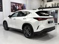 Lexus NX 450H PLUS TAKUMI Pan Roof + Mark Levinson Sound 14