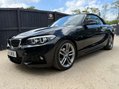 BMW 2 Series 2.0 218d M Sport 2dr 18