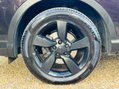 Nissan Qashqai 1.5 dCi n-tec SUV 5dr Diesel Manual 2WD Euro 6 (s/s) (110 ps) 13