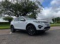 Land Rover Discovery Sport 2.2 Discovery Sport HSE SD4 Auto 4WD 5dr 34