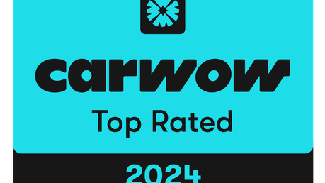 The female car dealers 5