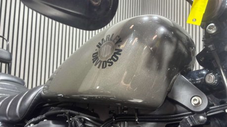 Harley-Davidson Sportster 883 XL883N IRON 2019 ONLY 5K STAGE 1 CUSTOM CRUISER BIKE 19