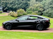 Tesla Model 3 STANDARD RANGE PLUS 9