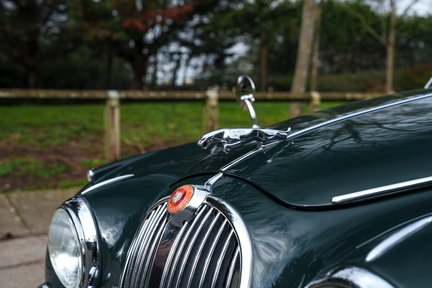 Jaguar MKII 9