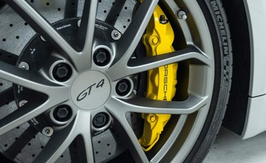 Porsche Cayman GT4 (718) 32