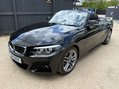 BMW 2 Series 2.0 218d M Sport 2dr 13