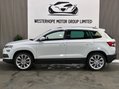 Skoda Karoq 2.0 TDI Edition 4WD Euro 6 (s/s) 5dr 19