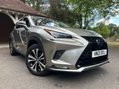Lexus NX 300H 15