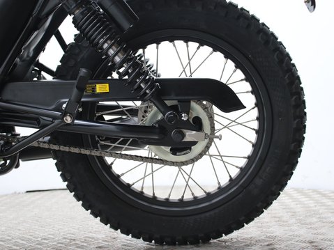 Mutt Akita 125 Pre-registered 17