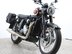 BSA Gold Star GOLD STAR 