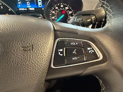 Ford Kuga 2.0 TDCi Vignale Powershift AWD Euro 6 (s/s) 5dr 25