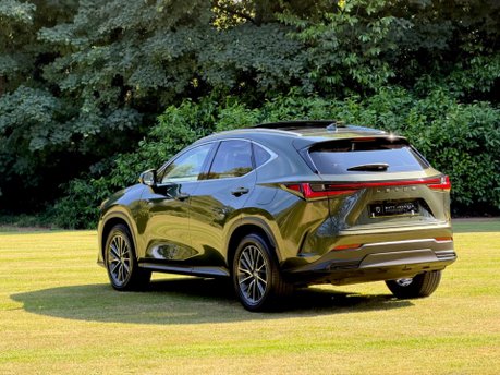 Lexus NX 350H 2