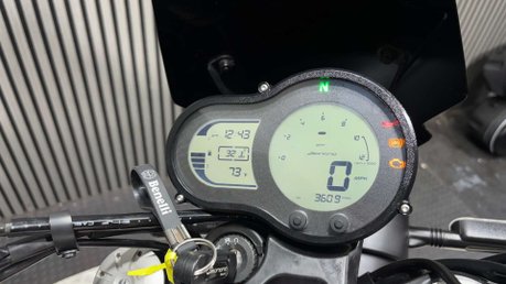 Benelli Leoncino 2019 ONLY 3K LONG MOT WARRANTY 47BHP A2 READY 500CC 36