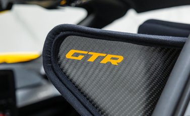 McLaren Senna GTR LM 17