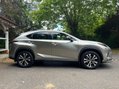 Lexus NX 300H 19