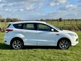 Ford Kuga TITANIUM SPORT TDCI FSH 7