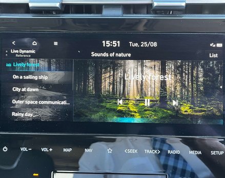 Hyundai TUCSON 1.6 Tucson Ultimate TGDi 5dr 44