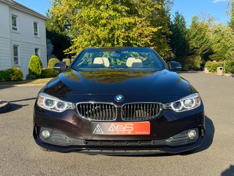 BMW 4 Series 2.0 420d Luxury Auto Euro 6 (s/s) 2dr 19