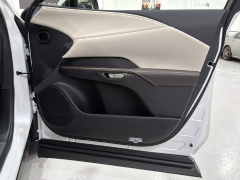 Lexus RX 450H+ PREMIUM PLUS 44